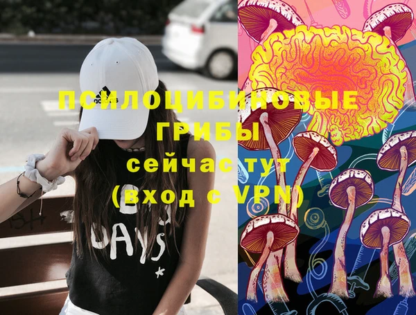 jwh Зеленокумск