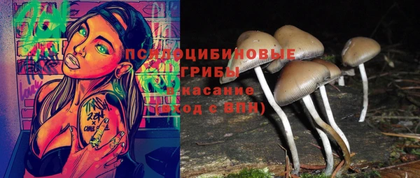 jwh Зеленокумск